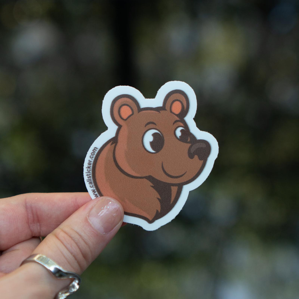 Stickers Laminados Mate