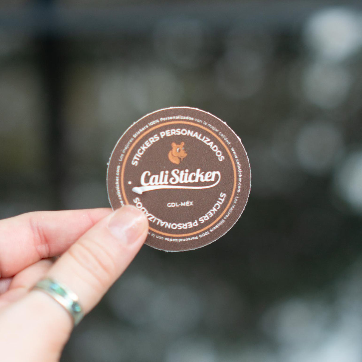 Stickers Económicos | Medida Personalizada